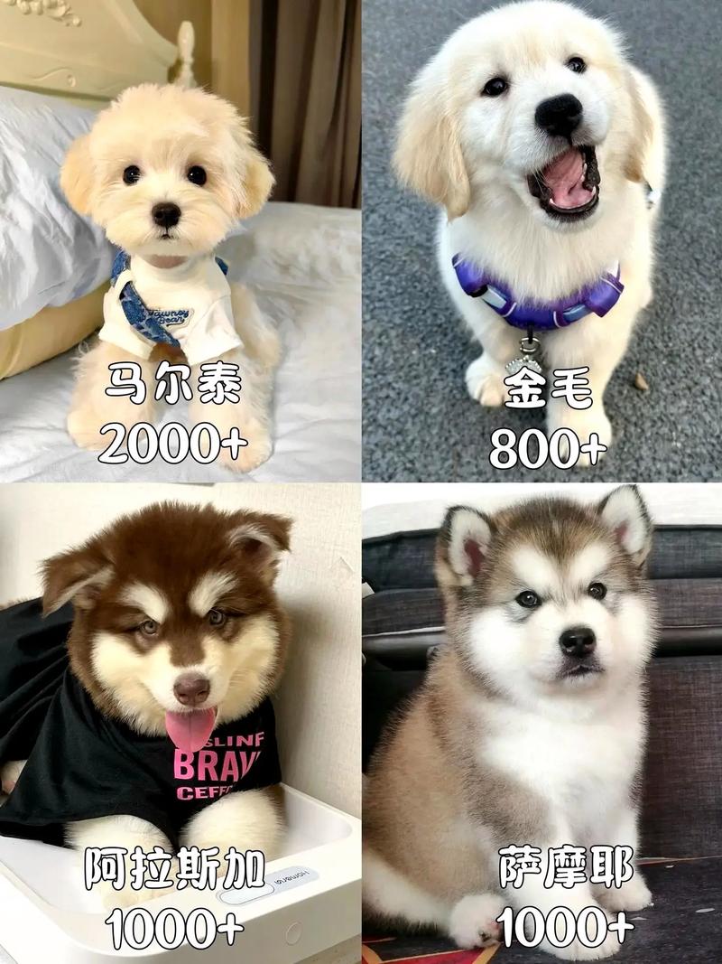 数量影响：批发价与零售价差20%-30%