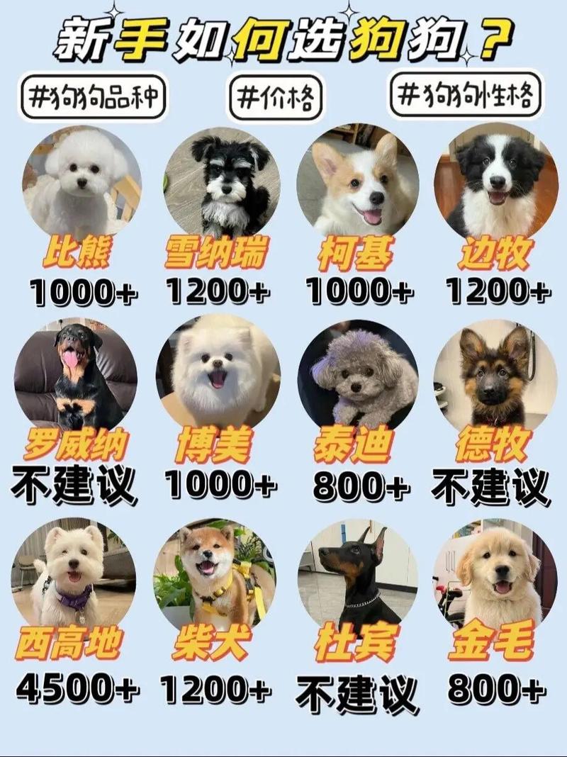 咨询指南