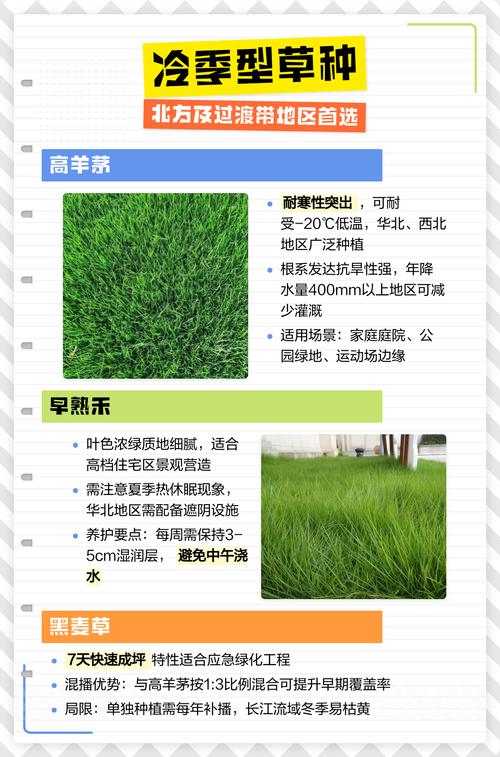 有没有四季常青的草坪?2026年最全品种选择与养护指南 常见错误与误区