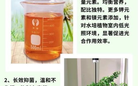 水培植物能用复合肥吗？正确用量、浓度与风险全解析