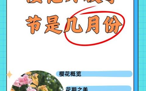 樱花季节是哪个月？园艺专家详解樱花花期与种植技巧