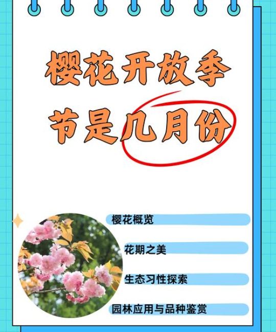 樱花季节是哪个月？园艺专家详解樱花花期与种植技巧