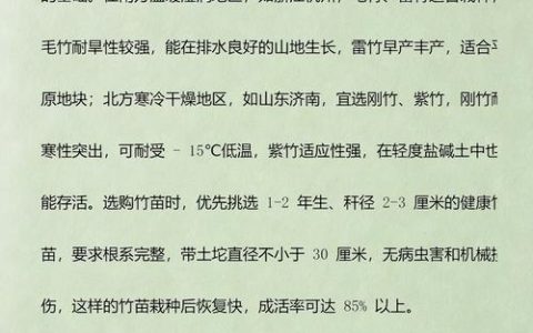 竹子什么时候栽种最好？掌握这几个时间点，成活率提高90%