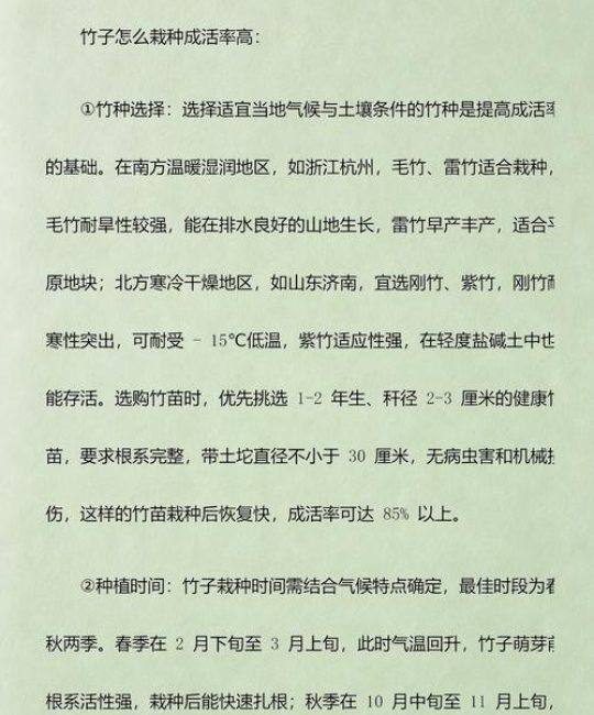 竹子什么时候栽种最好？掌握这几个时间点，成活率提高90%