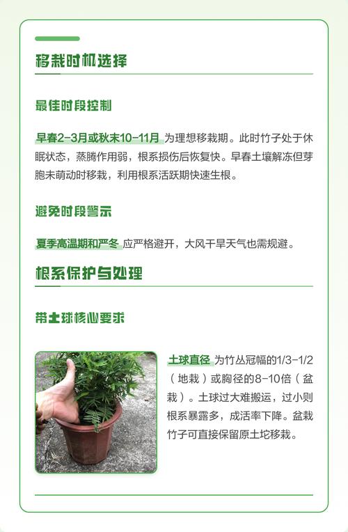 竹子什么时候栽种最好?掌握这几个时间点,成活率提高90% 2. 土壤环境评估与改良:疏松透气是关键