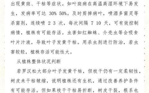 罗汉松叶子发黄干枯怎么救活？专家诊断与全流程救治方案