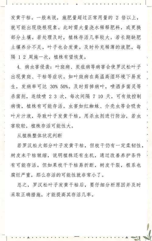 罗汉松叶子发黄干枯怎么救活?专家诊断与全流程救治方案 罗汉松叶子发黄干枯怎么救活?专家诊断与全流程救治方案