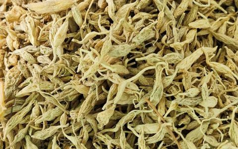 野生麦冬与种植麦冬的区别：外观、价格与药效全方位解析