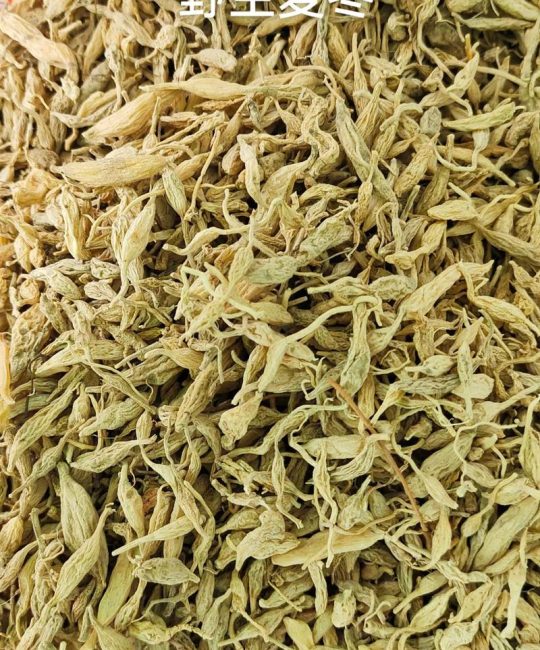 野生麦冬与种植麦冬的区别：外观、价格与药效全方位解析