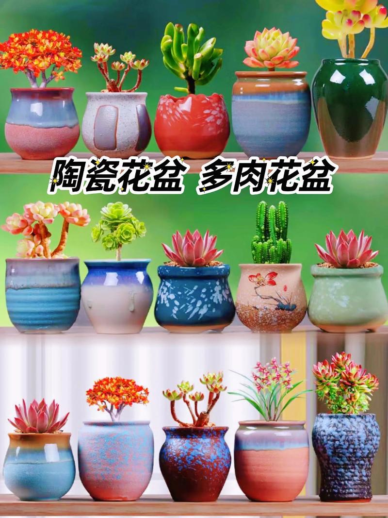 什么材质的花盆养花最好?全面解析花盆材质优缺点 4. 木质盆(防腐木、碳化木)