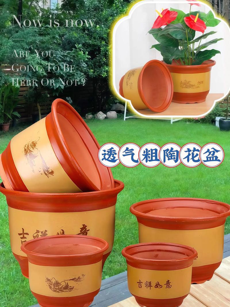 什么材质的花盆养花最好?全面解析花盆材质优缺点 综合建议