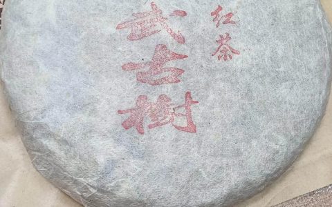 古树红茶价格指南：一盆精品古树红苗木的真实报价与影响因素分析