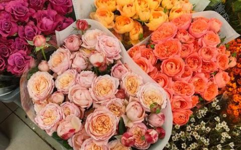 去哪里批发鲜花？采购渠道分析与供应商评估实用指南