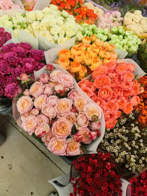 去哪里批发鲜花?采购渠道分析与供应商评估实用指南 去哪里批发鲜花?采购渠道分析与供应商评估实用指南