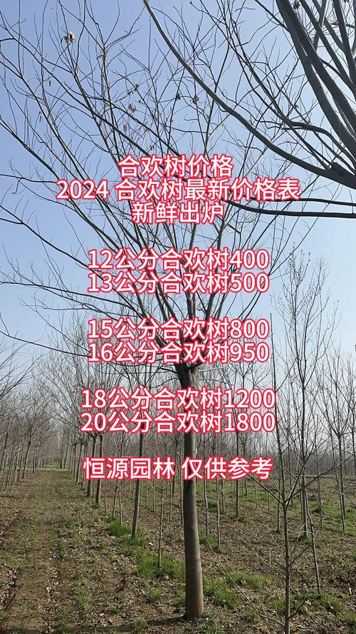 合欢花树苗价格:2026年最新市场报价与五大影响因素全解析 规格决定基础价格:从细到粗看门道