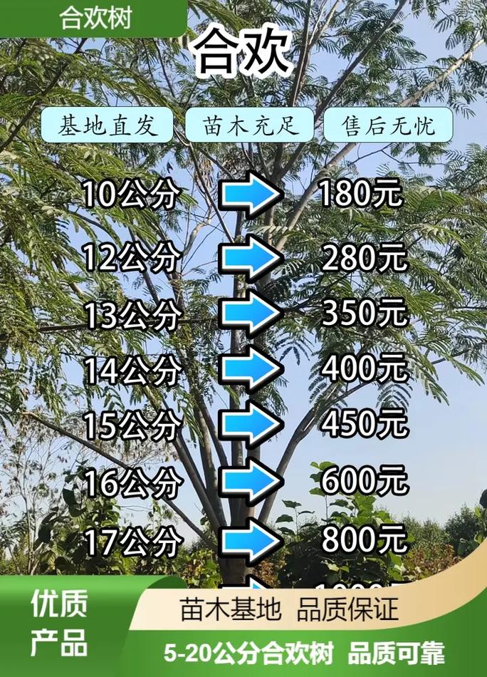 合欢花树苗价格:2026年最新市场报价与五大影响因素全解析 常见问题 (FAQ)