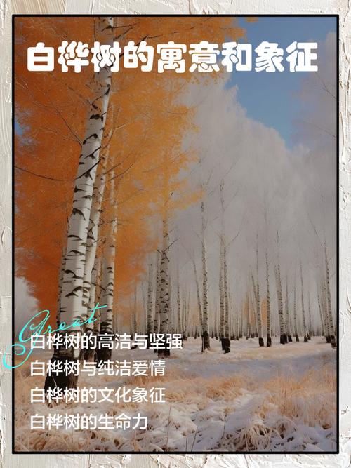 白桦树的象征意义与庭院种植指南 结语