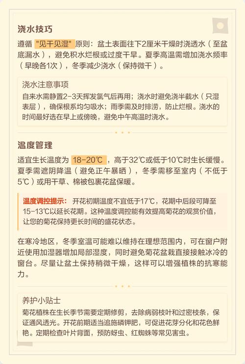 菊花养护指南:施肥一次用多少克?精准用量与盆栽地栽全攻略 光照与水肥精准方案