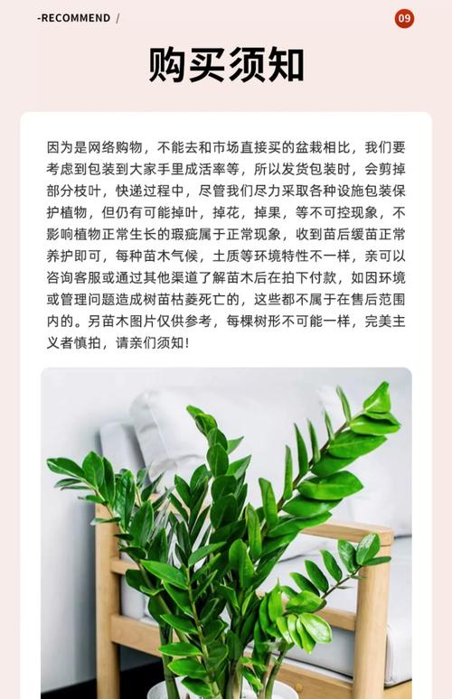 室内绿植盆栽多少钱?2026年价格区间与影响因素全解析 常见问题 (FAQ)