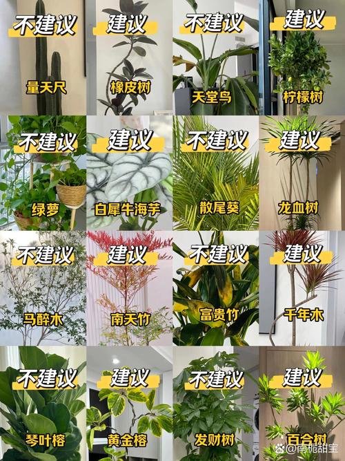 室内绿植盆栽多少钱?2026年价格区间与影响因素全解析 如何获取精准报价?