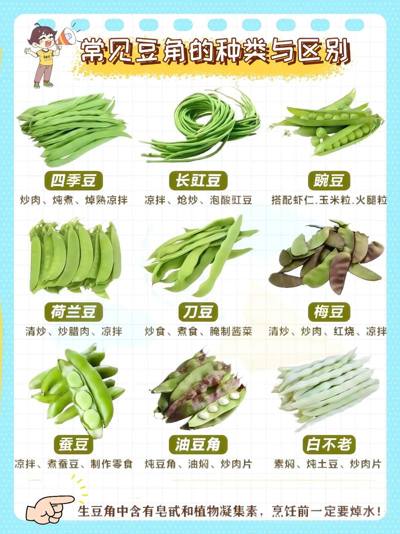 豆角种子哪个品种好?豇豆与四季豆6维度深度对比,帮你快速选对品种 结论前置:新手阳台盆栽首选四季豆,庭院丰产追求者选豇豆