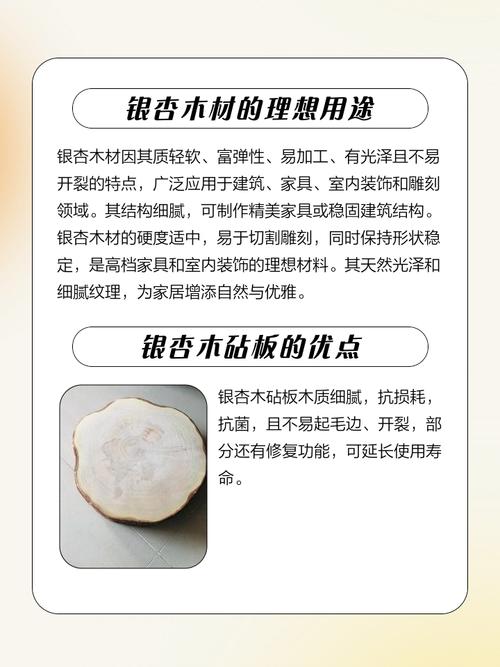 银杏大树移栽与应用全攻略:木材开裂特性、树形规格与养护管理 常见问题FAQ