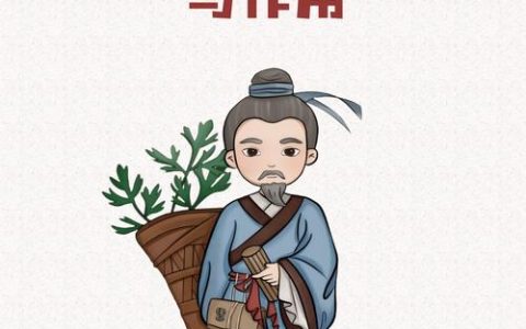 酢浆草吃了会中毒吗？安全食用与园艺须知