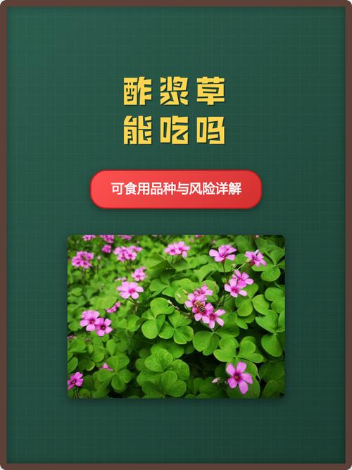 四、园艺种植中的安全守则