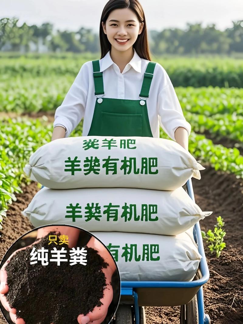 阳台种菜用什么肥料最合适?全面养护指南帮你忙 越冬越夏