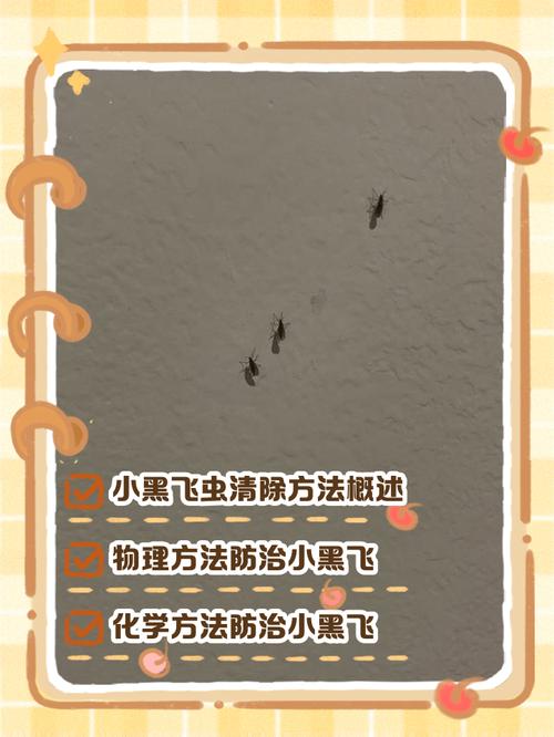 家里种的花有小飞虫怎么办?科学防治指南,告别烦恼 三、三步科学防治方案(分场景执行)