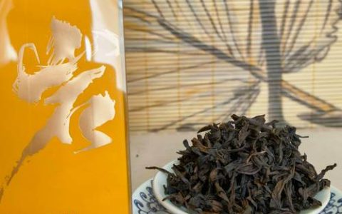 肉桂是什么品种？——肉桂植物百科全解析