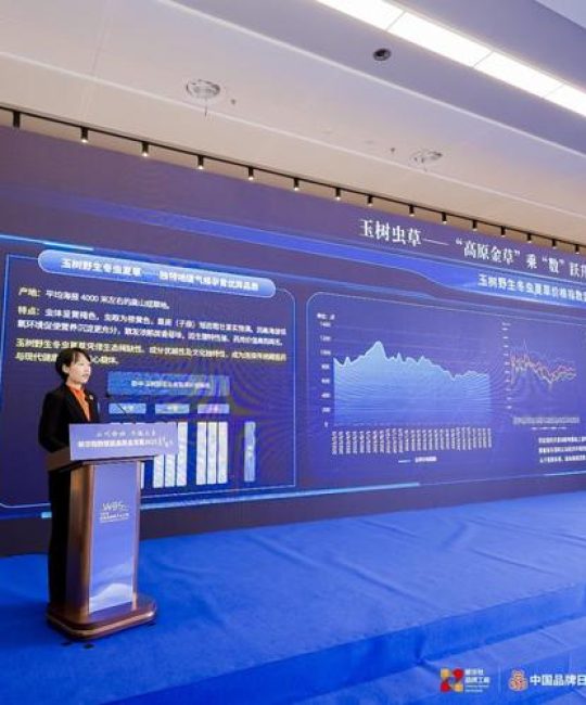 一根虫草大约多少钱？2025年市场价格与影响因素全解析