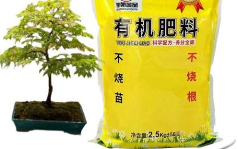 生物有机肥80斤一袋多少钱？价格快速参考