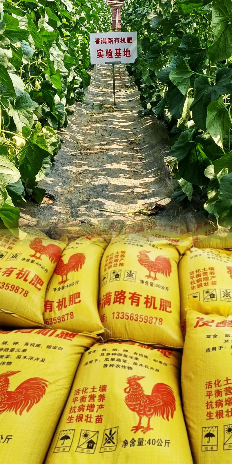 生物有机肥80斤一袋多少钱?价格快速参考 产地:物流成本与原料禀赋的体现