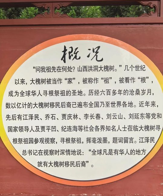 山西大槐树地理定位与国槐乔木全周期管护指南