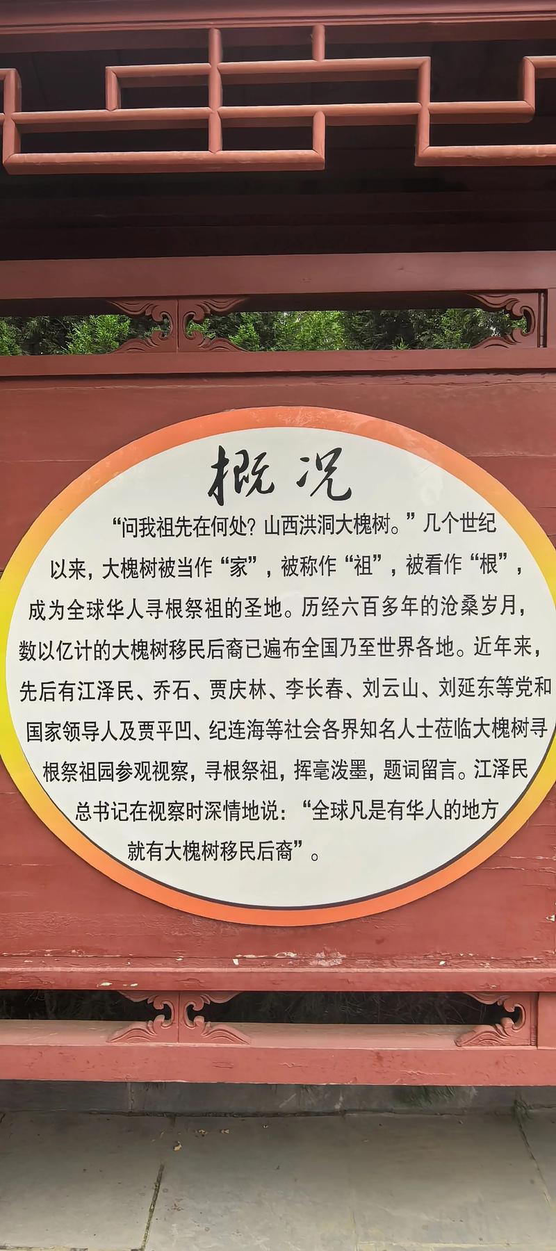 山西大槐树地理定位与国槐乔木全周期管护指南 国槐树形与遮荫能力评估