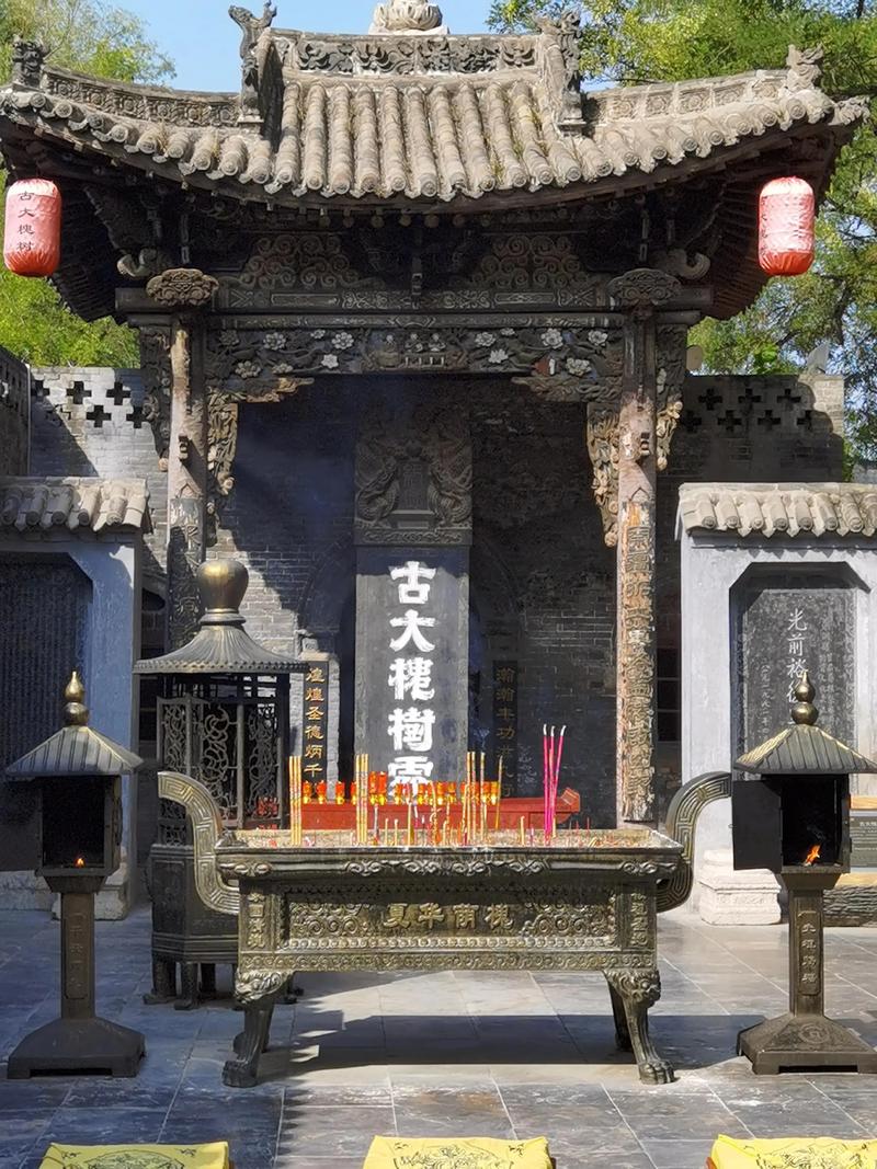 山西大槐树地理定位与国槐乔木全周期管护指南 支撑固定系统方案