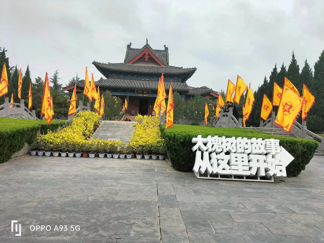 山西大槐树地理定位与国槐乔木全周期管护指南 常见错误