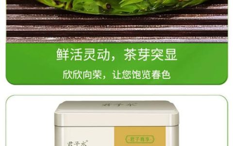 毛冬青茶叶多少钱一斤？批发零售价格参考