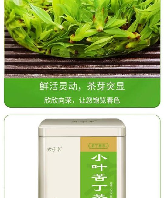 毛冬青茶叶多少钱一斤？批发零售价格参考