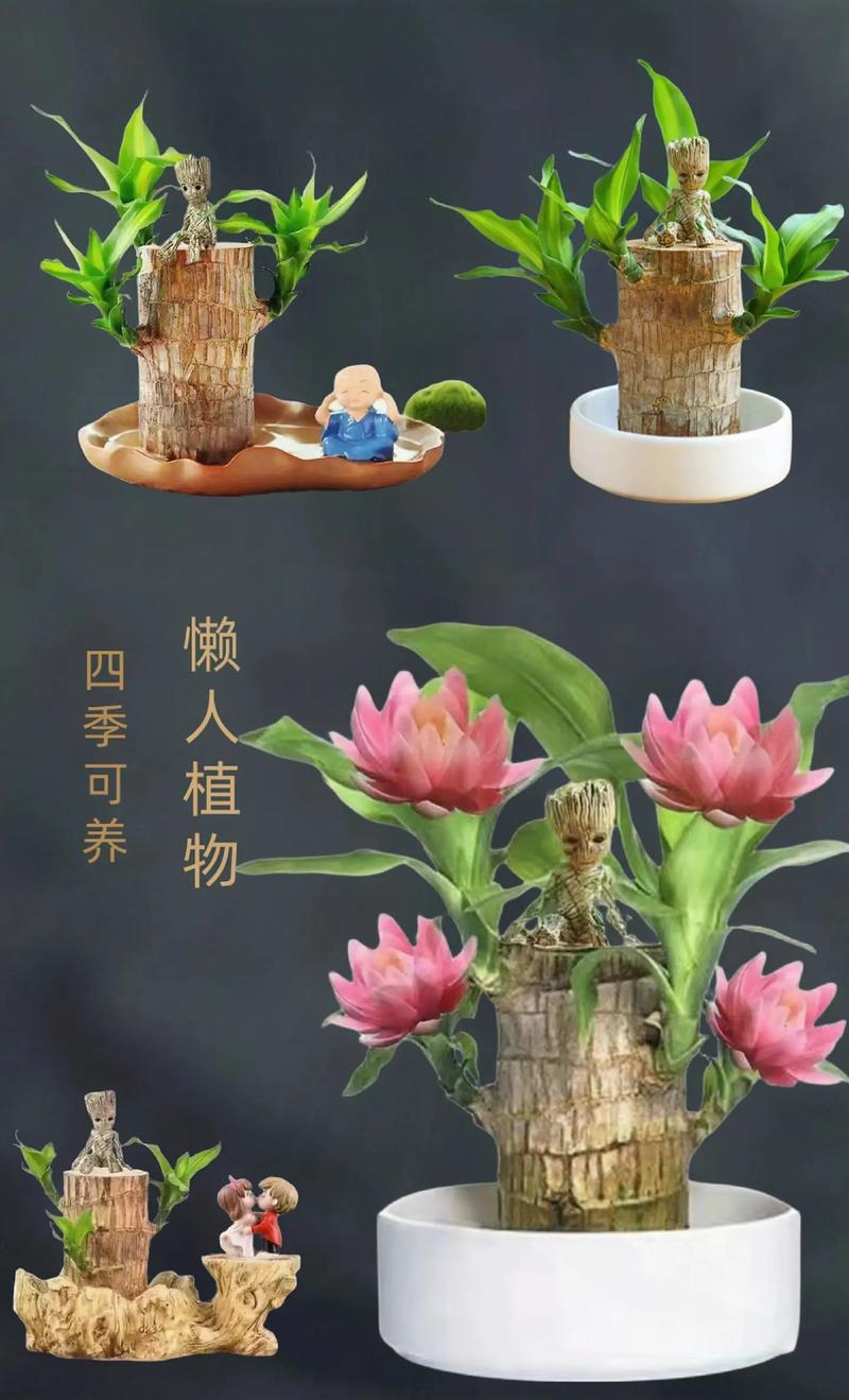 老人适合吃巴旦木吗?家庭园艺种植巴旦木全攻略 五、老人吃自家种的巴旦木更安心