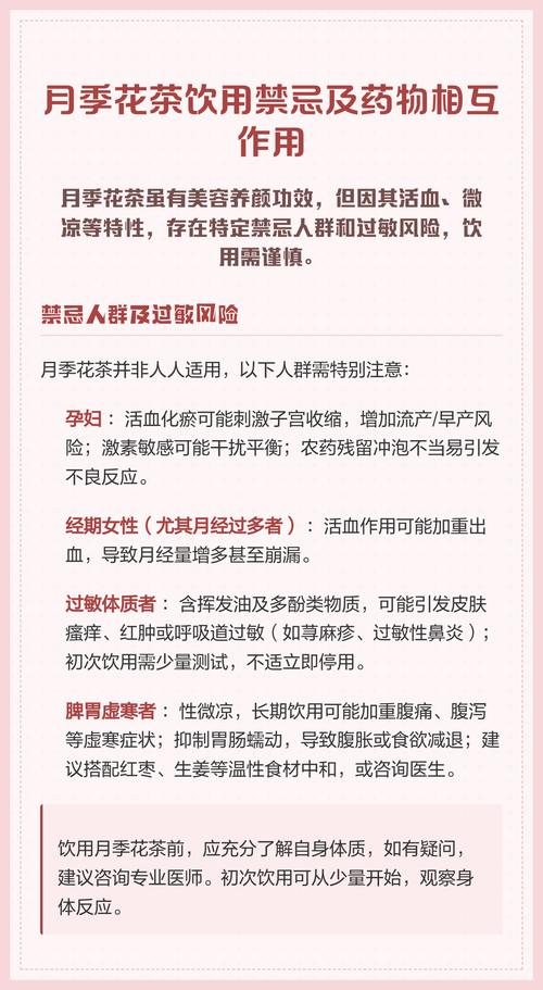 月季花可以泡水喝吗?安全饮用指南与禁忌 药用常识