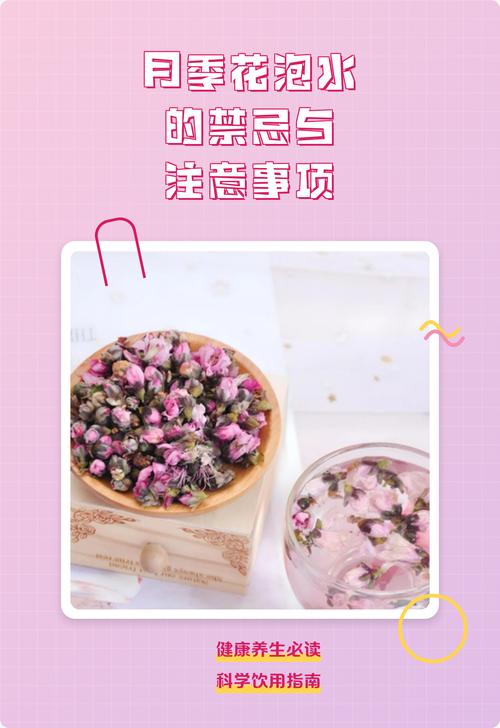 月季花可以泡水喝吗?安全饮用指南与禁忌 参考资料与免责声明
