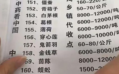 苦草价格多少？2026年沉水植物市场参考价与选购指南