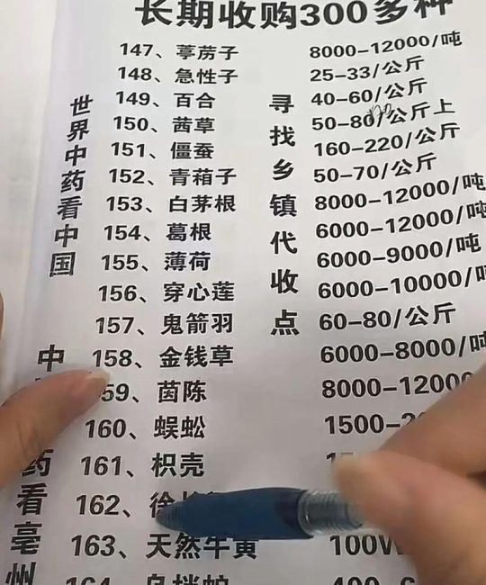 苦草价格多少？2026年沉水植物市场参考价与选购指南