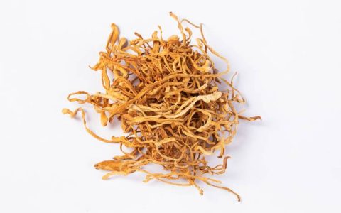 虫草价格多少钱呢？2025年蛹虫草（虫草花）价格参考与影响因素解析