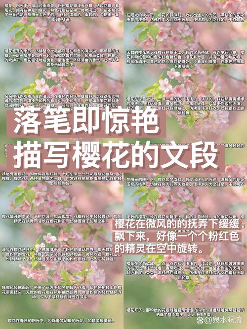二、园艺视角：如何把握“赏花季”与“护花期”