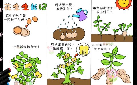 鸡蛋花生长在哪里？揭秘它的原生环境与栽培要点