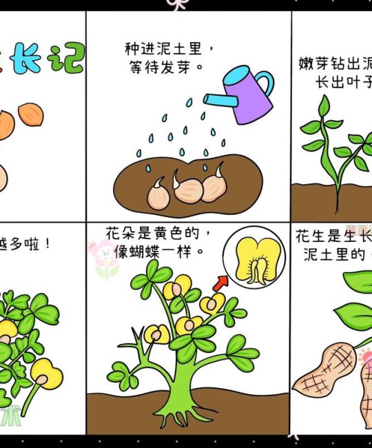 鸡蛋花生长在哪里？揭秘它的原生环境与栽培要点