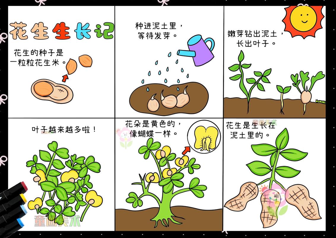 鸡蛋花生长在哪里?揭秘它的原生环境与栽培要点 一、原生地:中美洲的热带基因